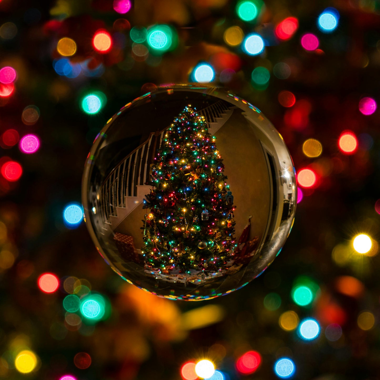 Christmas Eve (spiced orange + smoky pine)