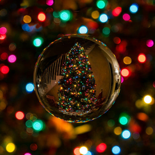 Christmas Eve (spiced orange + smoky pine)