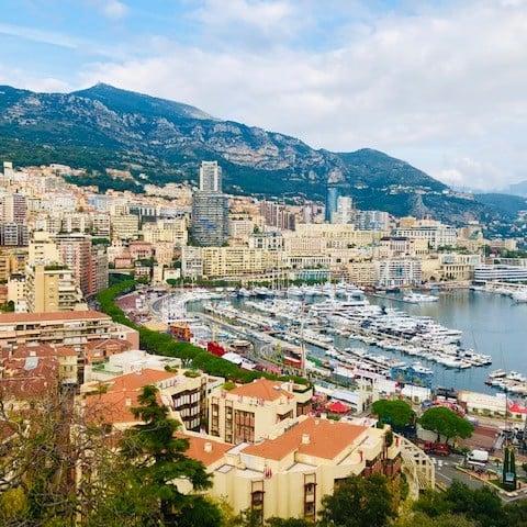 Monte Carlo (egyptian amber)