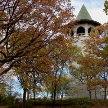 Prospect Park (autumn air + leaves)